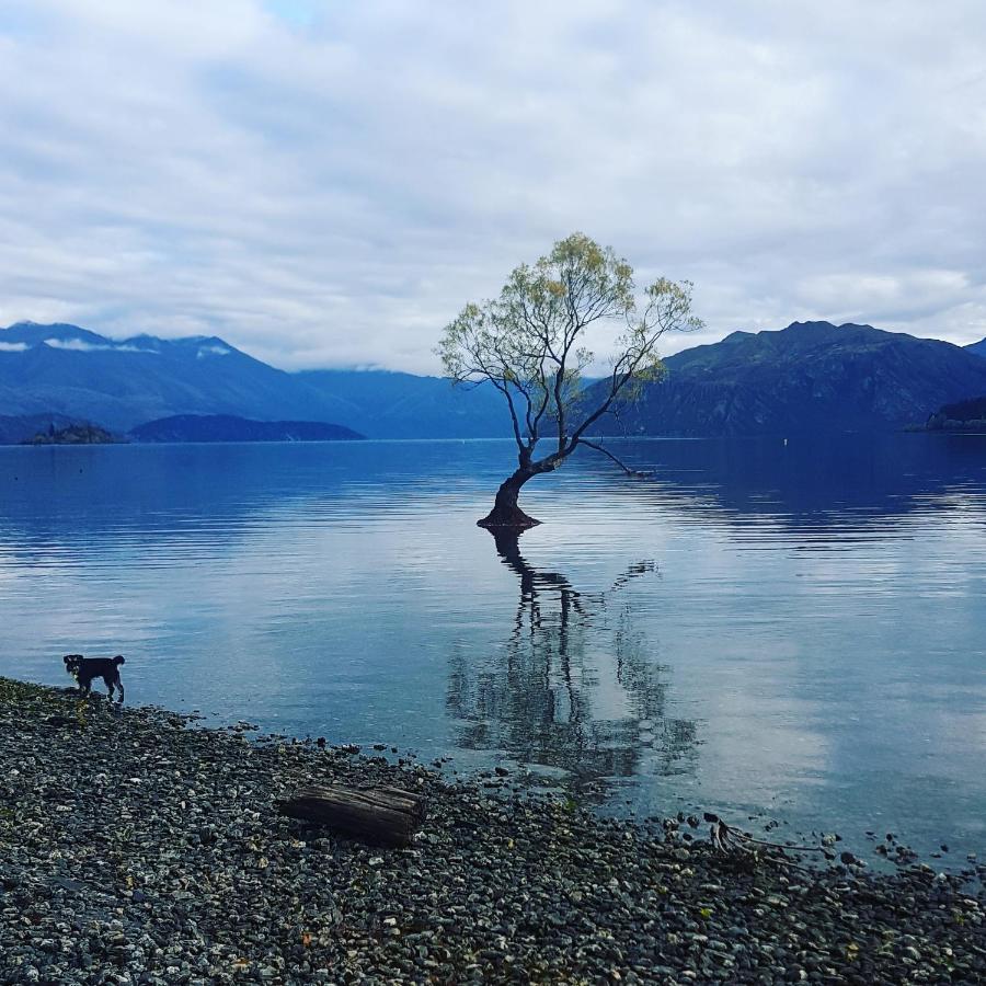Alto On Hedditch Wanaka Dış mekan fotoğraf